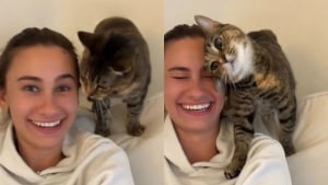 Illustration : « Bouh, maman ! Je t'ai eue ! », une chatte adore faire peur à sa maîtresse avec ce jeu quotidien (vidéo)