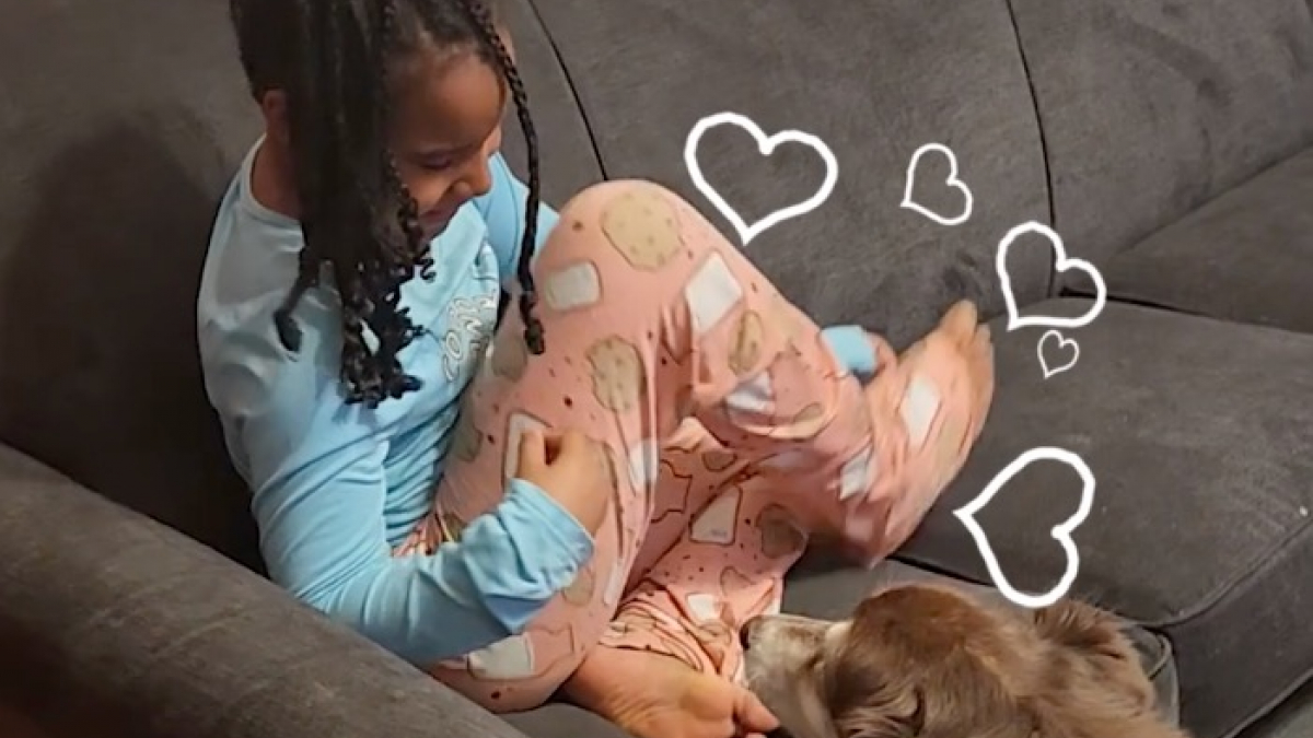 Illustration : "Le directeur adjoint d'une résidence pour séniors respecte sa promesse en adoptant le chien d'un couple de résidents"