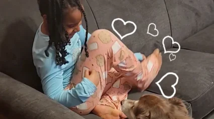 Illustration : Le directeur adjoint d'une r&eacute;sidence pour s&eacute;niors respecte sa promesse en adoptant le chien d'un couple de r&eacute;sidents