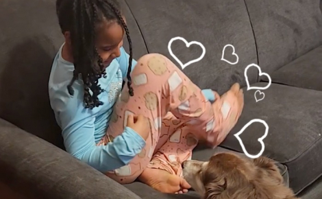 Le directeur adjoint d'une résidence pour séniors respecte sa promesse en adoptant le chien d'un couple de résidents