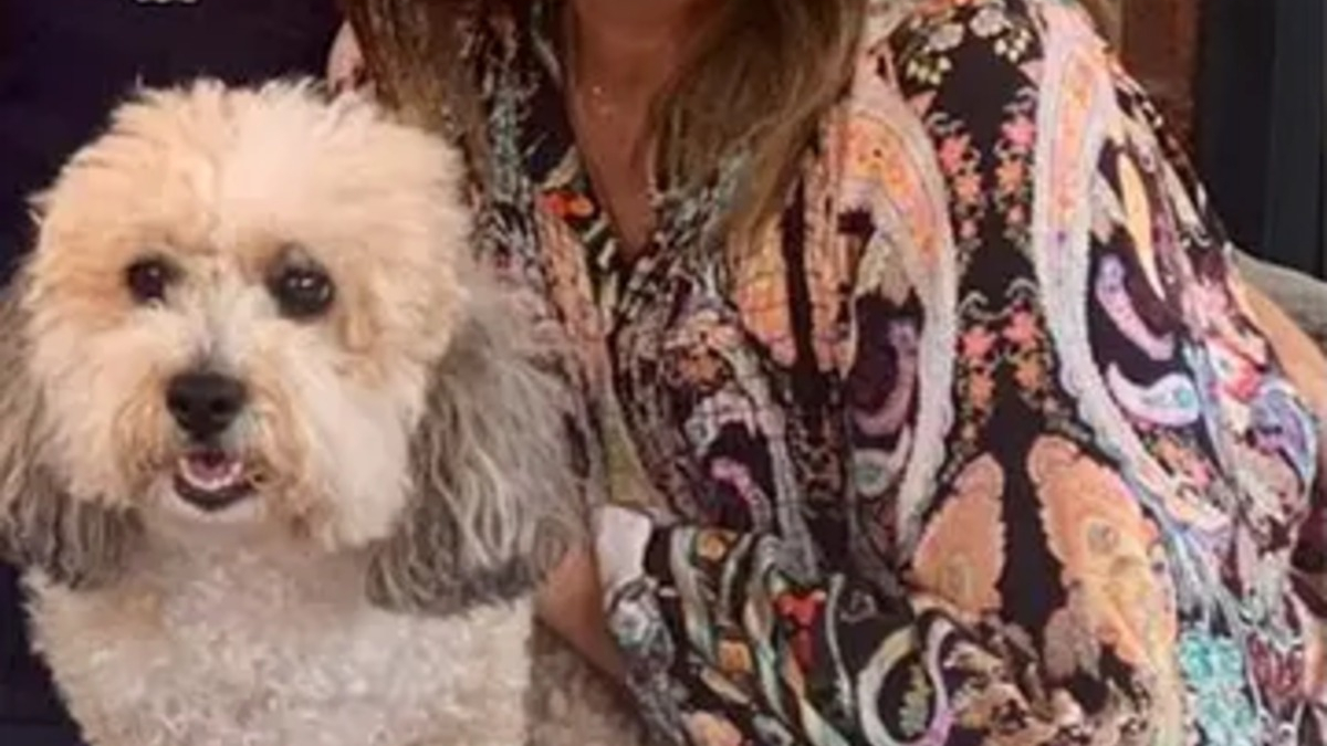 Illustration : "Après son cancer, une femme voit sa chienne tomber malade à son tour et lui rend le soutien qui l’avait aidée à tenir"