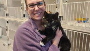 Illustration : Un chat disparaît pendant 59 jours et parcourt 25 kilomètres avant de retrouver sa famille grâce à sa puce électronique d'identification