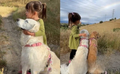 Touchée par leur vision différente du monde, une petite fille fait découvrir un arc-en-ciel à ses 2 Golden Retrievers (vidéo)