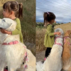 Illustration : Touch&eacute;e par leur vision diff&eacute;rente du monde, une petite fille fait d&eacute;couvrir un arc-en-ciel &agrave; ses 2 Golden Retrievers (vid&eacute;o)