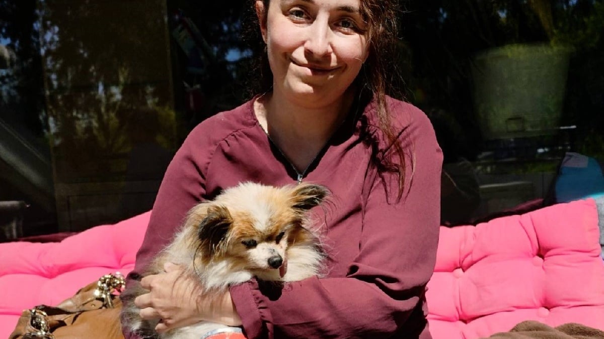 Illustration : "Elle adopte le doyen d'un refuge savoyard qui pourrait entrer au Guinness en tant que chien le plus âgé du monde"