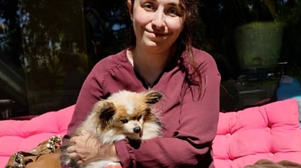 Illustration : Elle adopte le doyen d'un refuge savoyard qui pourrait entrer au Guinness en tant que chien le plus &acirc;g&eacute; du monde