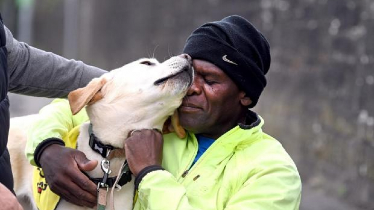 Illustration : "« Il me donne la liberté », un Labrador d’assistance permet à un homme atteint de démence précoce de retrouver son indépendance (vidéo)"