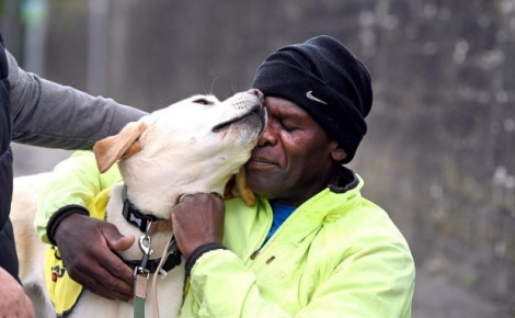 « Il me donne la liberté », un Labrador d’assistance permet à un homme atteint de démence précoce de retrouver son indépendance (vidéo)