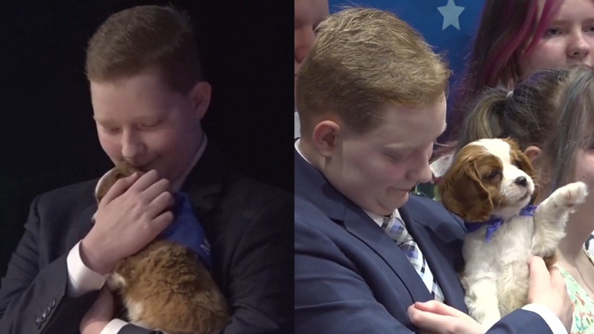 Illustration : "Cette association célèbre son 5000e voeu d'enfant malade exausé en remettant une chienne de soutien émotionnel à un adolescent qui se bat contre la leucémie"