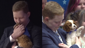 Illustration : "Cette association célèbre son 5000e voeu d'enfant malade exausé en remettant une chienne de soutien émotionnel à un adolescent qui se bat contre la leucémie"