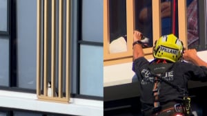 Illustration : "Coincée 48 heures au 13e étage, une chienne est sauvée par les pompiers sous les applaudissements de la foule stressée"