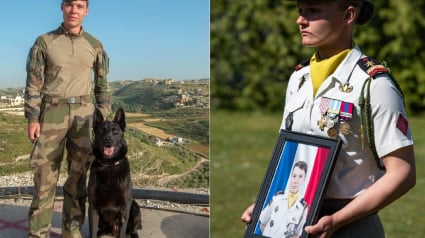 Illustration : Chien du sergent Anicet Girardin d&eacute;c&eacute;d&eacute; en mission, Ros a &eacute;t&eacute; d&eacute;cor&eacute; lors de l'hommage national et sera remis &agrave; sa famille