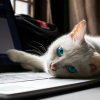 Illustration : Pourquoi votre chat choisit-il toujours votre clavier d'ordinateur pour dormir ?