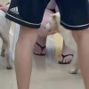 Illustration : Abandonn&eacute;s dans une &eacute;picerie, 3 chiots attirent l'attention d'un inconnu qui choisit de les sauver (vid&eacute;o)