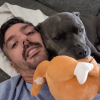 Illustration : D&egrave;s que son propri&eacute;taire rentre du travail, ce Staffordshire Bull Terrier lui apporte sa peluche pr&eacute;f&eacute;r&eacute;e et s'endort contre lui (vid&eacute;o)