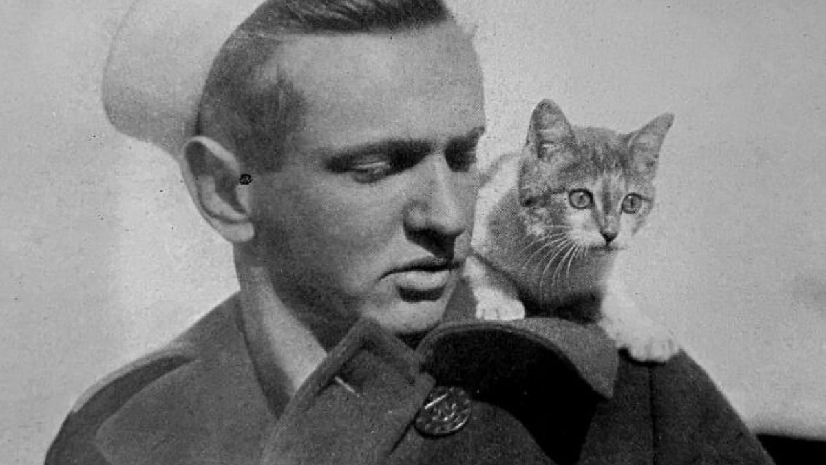 Illustration : "18 photos anciennes qui prouvent que notre amour des chats traverse le temps"