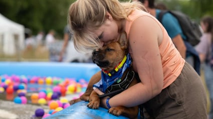 Illustration : Au Village de Canidays avec Hill&rsquo;s, vivez un moment festif avec votre chien et rencontrez des passionn&eacute;s du monde canin