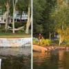 Illustration : &laquo; Ses amis de l&rsquo;&eacute;t&eacute; &raquo;, une Golden Retriever reconna&icirc;t ses compagnons de vacances apr&egrave;s un an de s&eacute;paration et explose de joie (vid&eacute;o)
