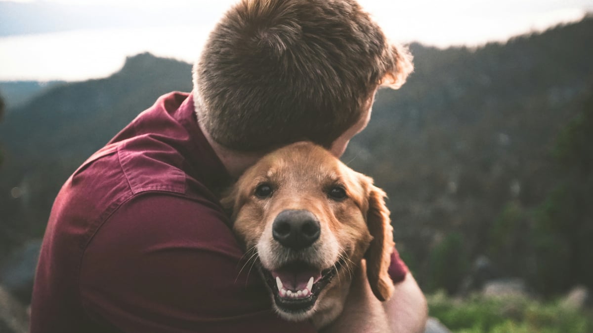 Illustration : "Mythe des races : la science prouve que la race ne détermine pas le caractère de votre chien"