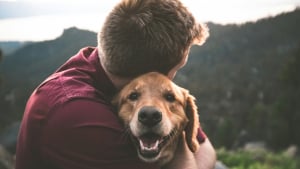 Illustration : Mythe des races : la science prouve que la race ne d&eacute;termine pas le caract&egrave;re de votre chien