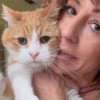 Illustration : Adopt&eacute; par erreur lors d&rsquo;une f&ecirc;te, ce chat est retrouv&eacute; par sa vraie famille &agrave; des milliers de kilom&egrave;tres