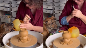 Illustration : Sous les yeux attendris de sa maîtresse, ce chien dépose son jouet sur le tour de potier et s'amuse à le regarder tourner (vidéo)