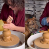 Illustration : Sous les yeux attendris de sa ma&icirc;tresse, ce chien d&eacute;pose son jouet sur le tour de potier et s'amuse &agrave; le regarder tourner (vid&eacute;o)