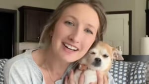 Illustration : Une chienne Chihuahua âgée trouvée seule dans un parc voit sa vie transformée par une famille d’accueil dévouée (vidéo)