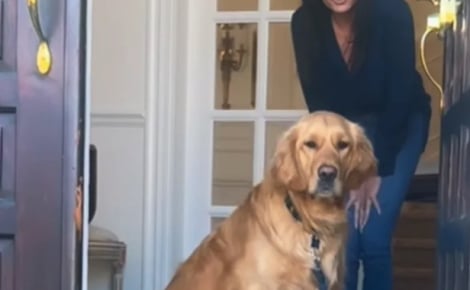 Ce Golden Retriever refuse de quitter la maison et sa famille apprend quelques heures plus tard le décès de la grand-mère (vidéo)