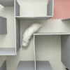 Illustration : La propri&eacute;taire de ce chat passe des heures &agrave; construire un labyrinthe, son chat en sort en quelques secondes (vid&eacute;o)
