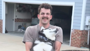 Illustration : « À mourir de rire ! », la réaction théâtrale d'un Husky qui refuse de monter en voiture et fait tout pour rester chez les parents de sa maîtresse (vidéo)