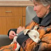 Illustration : Une b&eacute;n&eacute;vole luttant courageusement contre la maladie parvient &agrave; capturer une chienne affam&eacute;e et en fuite depuis 6 semaines dans la nature