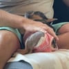Illustration : Abandonn&eacute;e apr&egrave;s avoir v&eacute;cu en cage et encha&icirc;n&eacute; les port&eacute;es, cette petite chienne d&eacute;couvre la tendresse sur les genoux de son adoptant (vid&eacute;o)