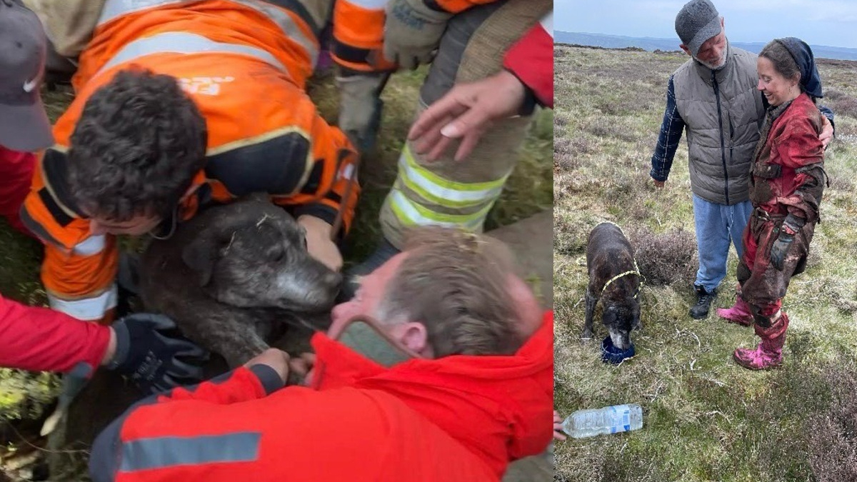 Illustration : "Une secouriste se faufile dans un passage souterrain étroit pour sauver un chien coincé à plus de 6 mètres de profondeur"
