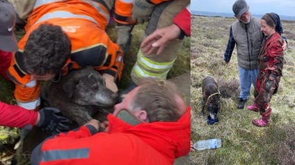 Illustration : Une secouriste se faufile dans un passage souterrain &eacute;troit pour sauver un chien coinc&eacute; &agrave; plus de 6 m&egrave;tres de profondeur