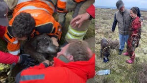 Illustration : "Une secouriste se faufile dans un passage souterrain étroit pour sauver un chien coincé à plus de 6 mètres de profondeur"