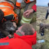 Illustration : Une secouriste se faufile dans un passage souterrain &eacute;troit pour sauver un chien coinc&eacute; &agrave; plus de 6 m&egrave;tres de profondeur