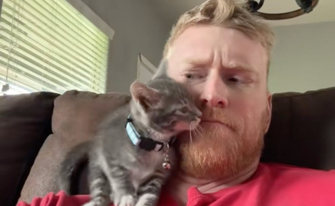 Ce chaton fait tout pour séduire un homme qui n'aime pas les chats et finit par devenir son compagnon inséparable (vidéo)