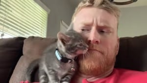 Illustration : Ce chaton fait tout pour séduire un homme qui n'aime pas les chats et finit par devenir son compagnon inséparable (vidéo)