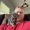 Illustration : Ce chaton fait tout pour s&eacute;duire un homme qui n'aime pas les chats et finit par devenir son compagnon ins&eacute;parable (vid&eacute;o)