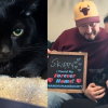 Illustration : Ce chat noir traumatis&eacute; et qui se cachait syst&eacute;matiquement pendant les 899 pass&eacute;s au refuge a enfin &eacute;t&eacute; adopt&eacute; (vid&eacute;o)