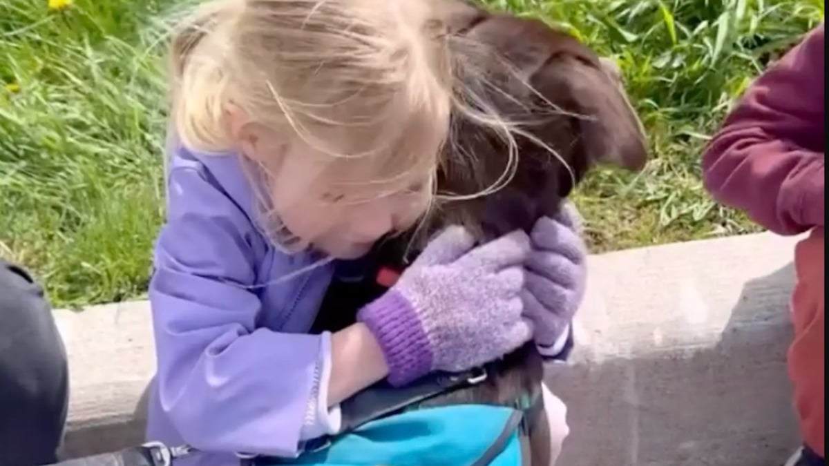Illustration : "Après quelques jours d'attente, une fillette retrouve la chienne borgne qui l'a marquée au refuge et l'adopte (vidéo)"