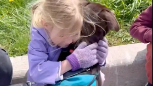 Illustration : Après quelques jours d'attente, une fillette retrouve la chienne borgne qui l'a marquée au refuge et l'adopte (vidéo)