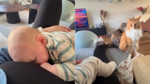 Illustration : Ne pouvant bouger car son bébé s'est endormi sur elle, ses chats exigent quand-même leur repas et le lui font savoir (vidéo)