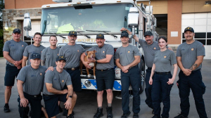 Illustration : Les pompiers adoptent un Pitbull attaché à un poteau devant leur caserne avec une lettre de son maître qui reçoit de l'aide à son tour