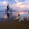 Illustration : 10 chats qui ont transform&eacute; une simple photo en oeuvre d&rsquo;art