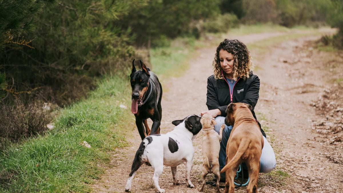 Illustration : "6 conseils pour trouver le pet-sitter parfait"