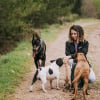 Illustration : 6 conseils pour trouver le pet-sitter parfait