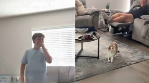 Illustration : La surprise préparée par leurs parents tourne à l’émotion totale quand 2 garçons retrouvent leur chat disparu depuis 7 mois (vidéo)