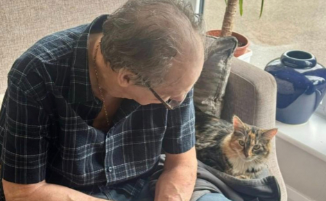 « Cela a eu un impact considérable », en adoptant 2 chatons abandonnés, cette maison de retraite a profondément amélioré le quotidien de ses résidents